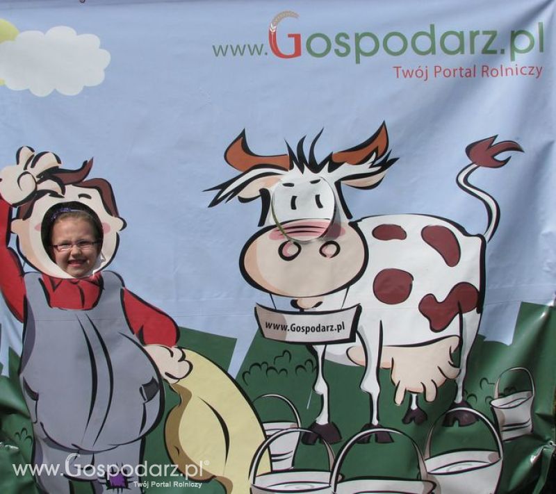 Wielkopolskie Targi Rolnicze „Sielinko 2011”  - Krówka Gospodarza