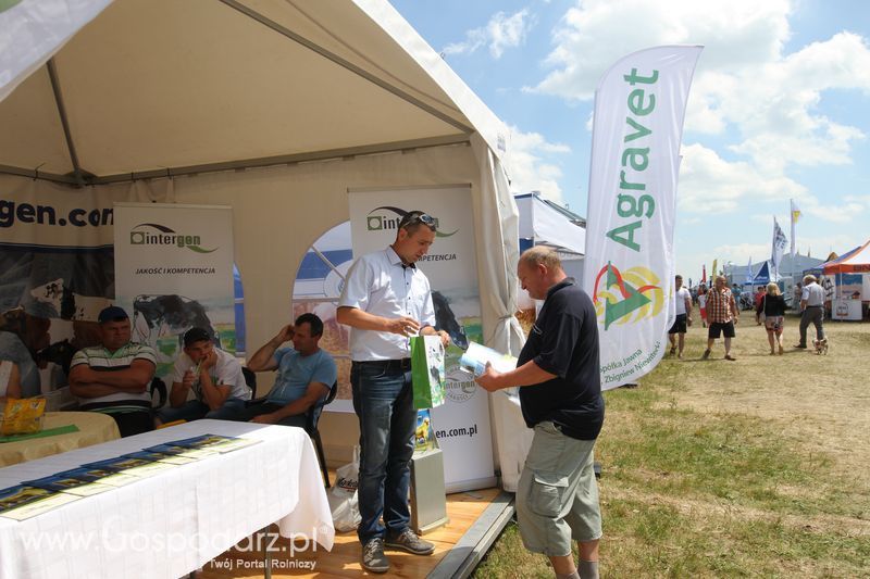 Intergen na OPOLAGRZE 2015