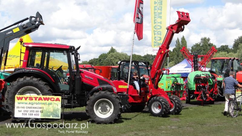 XVII Pałuckie Targi Rolne i XI Pałucka Wystawa Zwierząt Hodowlanych w Żninie