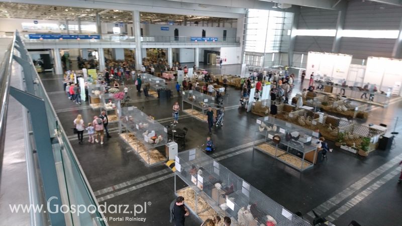 Narodowa Wystawa Zwierząt Hodowlanych 2019