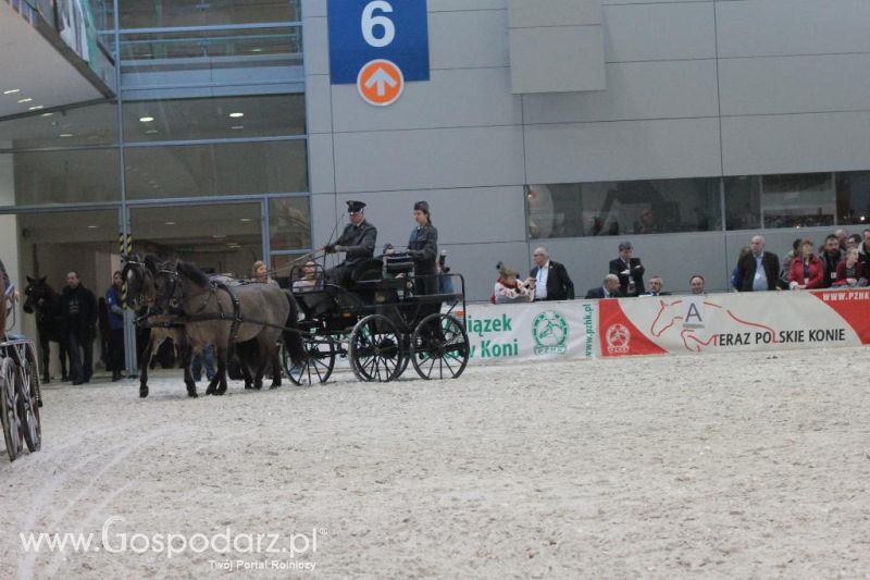 CAVALIADA 2013 w Poznaniu