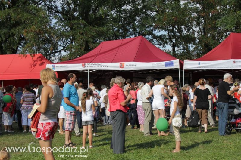 II Festiwal Wieprzowiny w Wąbrzeźnie