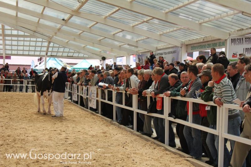 VII Ogólnopolska Wystawa Bydła Hodowlanego - Sielinko 2012