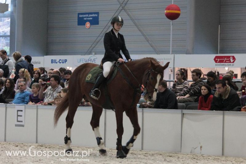 CAVALIADA 2013 w Poznaniu