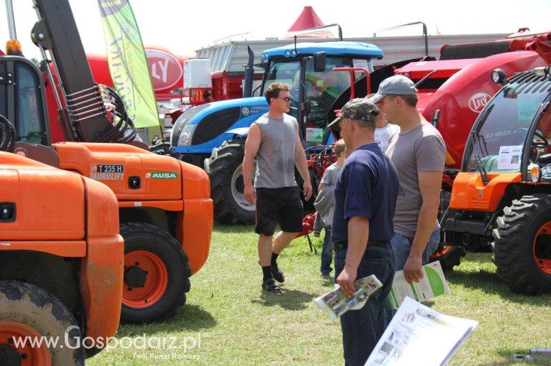 Bogart  - Minikowo 2012