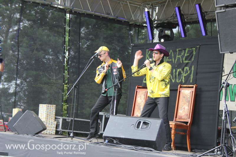 Festiwal Wieprzowiny w Targowisku Dolnym