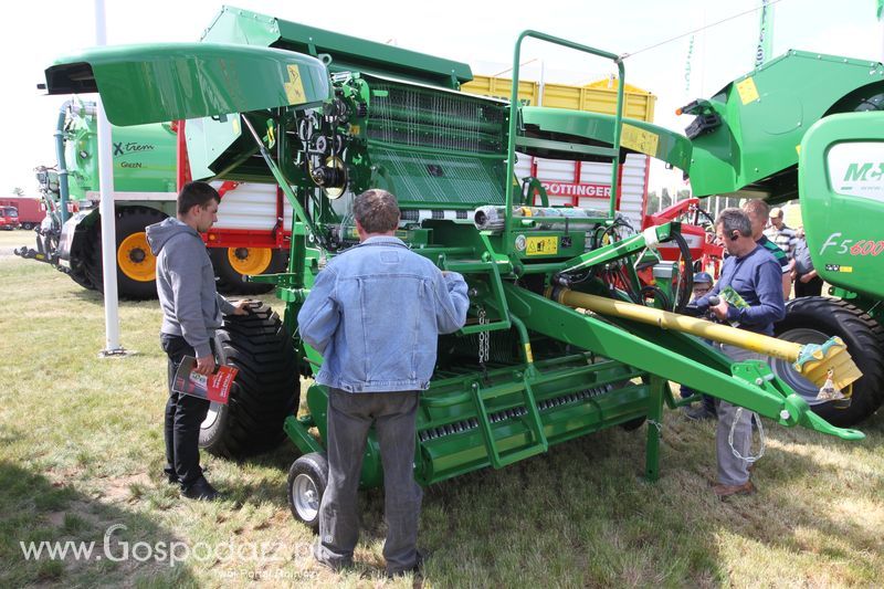 Zielone AGRO SHOW - Polskie Zboża 2015 w Sielinku