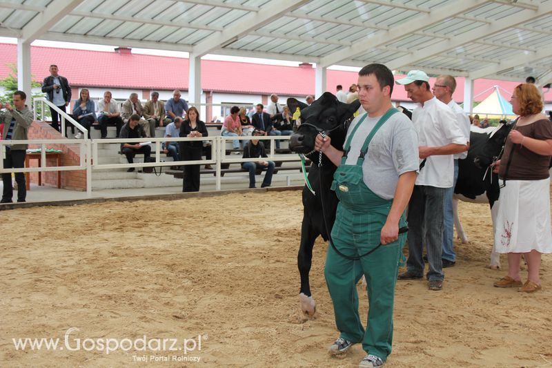 Wystawa bydła Sielinko 2011