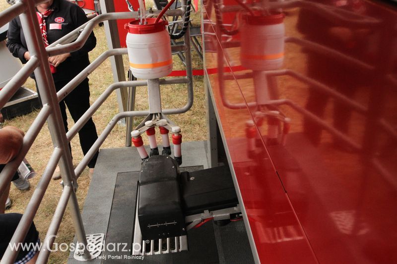 Lely na OPOLAGRA Kamień Śląski 2018