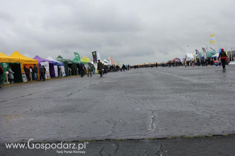 Polskie Zboża i Zielone Agro Show 2013