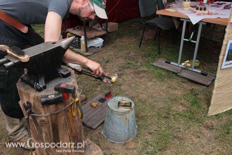  XX Targi Rolnicze Lubniewice