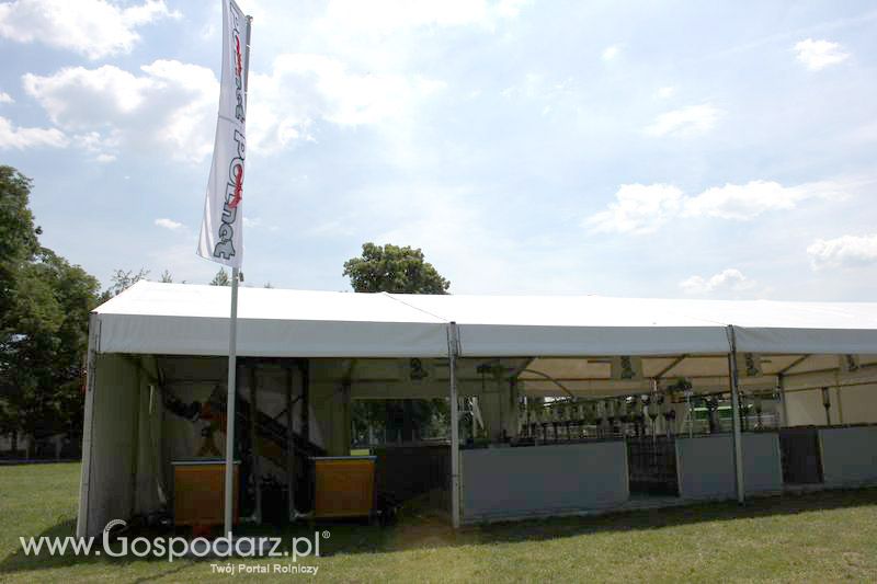 Konferencja Naukowo-Techniczna pt. Innowacyjność w produkcji zwierzęcej - oczekiwania czy konieczność dzień drugi