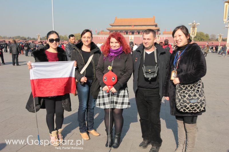 Gospodarz.pl w Chinach
