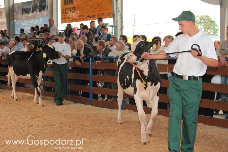 Wręczenie nagród na XVIII Regionalnej Wystawie Zwierząt Hodowlanych w Szepietowie