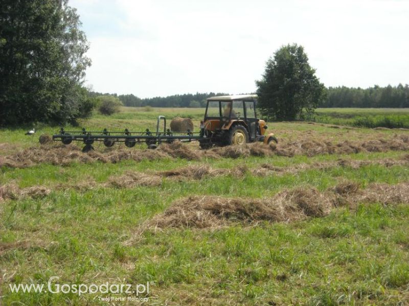 zbieranie siana 2012 ursusem c330m i 1014 de luxe