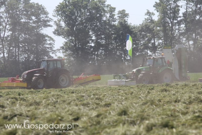 Zielone AGRO SHOW – POLSKIE ZBOŻA 2014 w Sielinku - niedziela