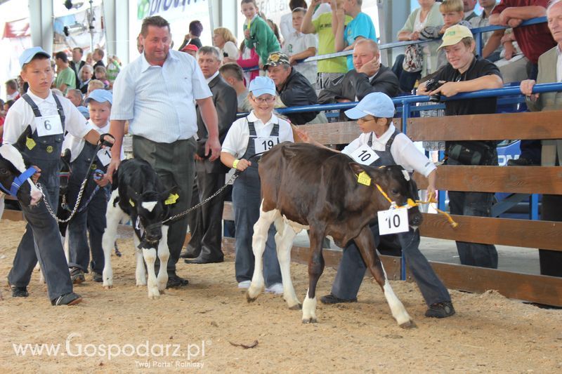 Młody hodowca na XVIII Regionalnej Wystawie Zwierząt Hodowlanych w Szepietowie
