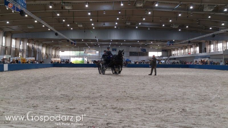 KWZH 2015. Bliskie spotkania ze zwierzętami hodowlanymi