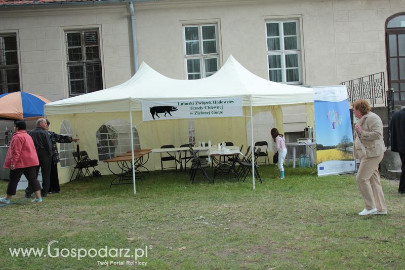 XX Targi Rolnicze Lubniewice 