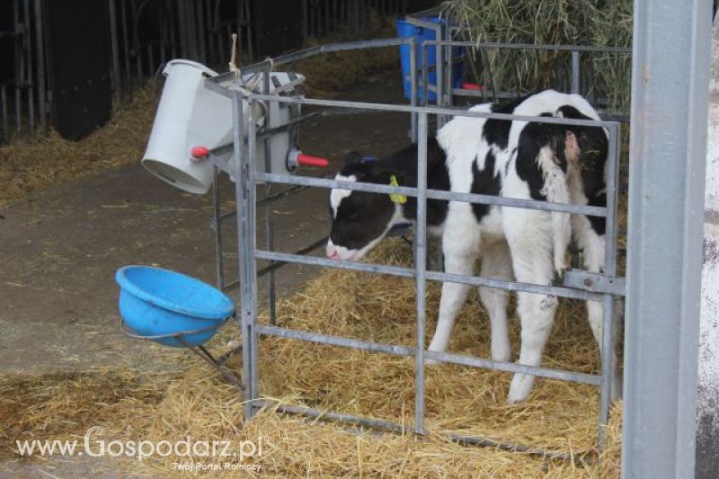 Wyjazd studyjny na farmę w Hohenhameln (Niemcy)