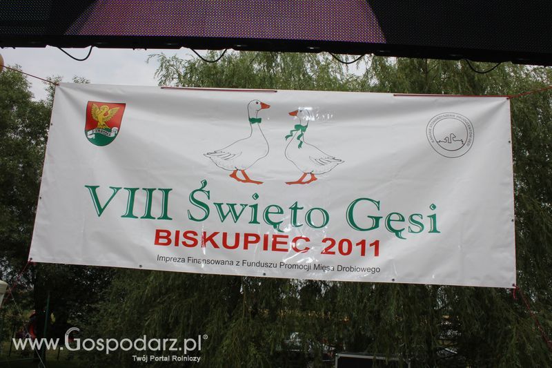 VIII Święto Gęsi w Biskupcu