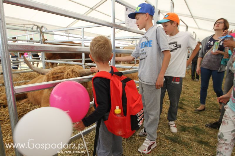 Sobota na Opolagrze 2016 razem z Gospodarz.pl