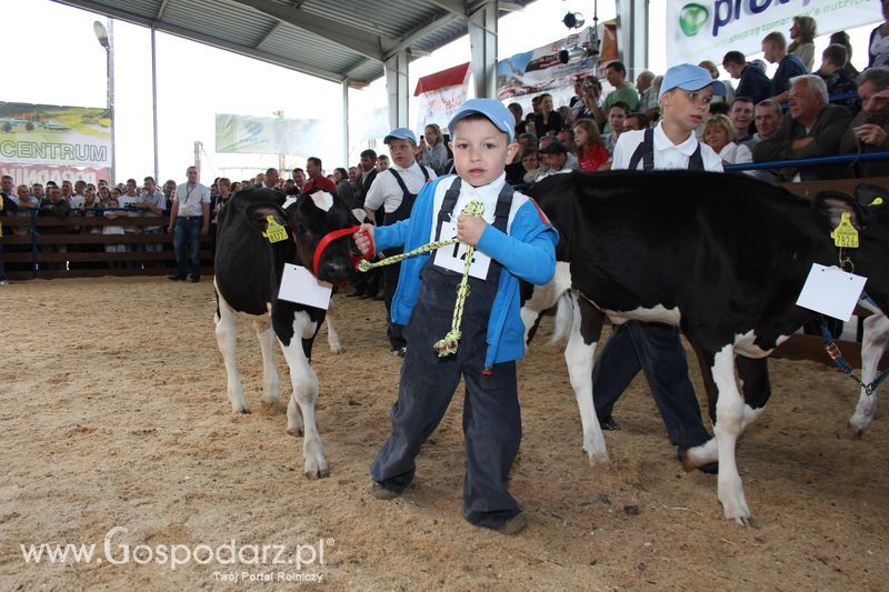 Młody hodowca na XVIII Regionalnej Wystawie Zwierząt Hodowlanych w Szepietowie