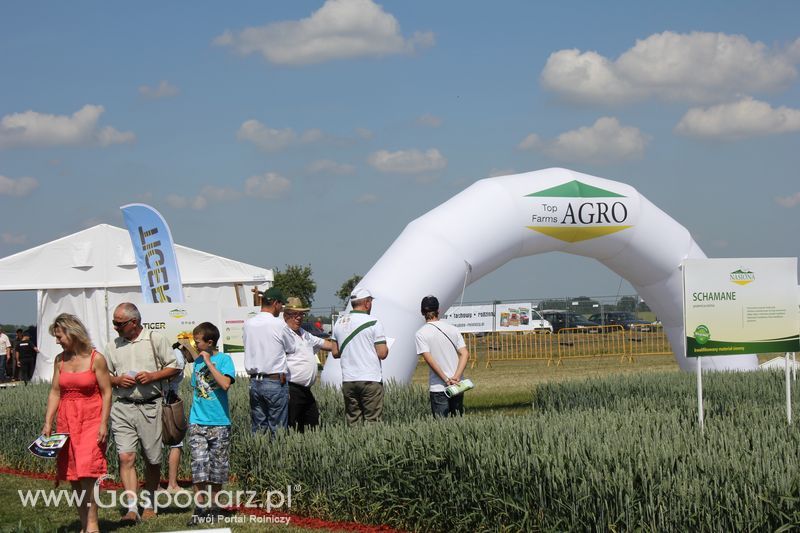 Polskie Zboża 2011 - Sobota