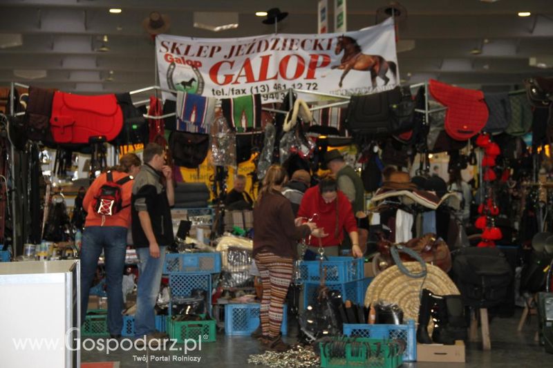 CAVALIADA 2013 w Poznaniu