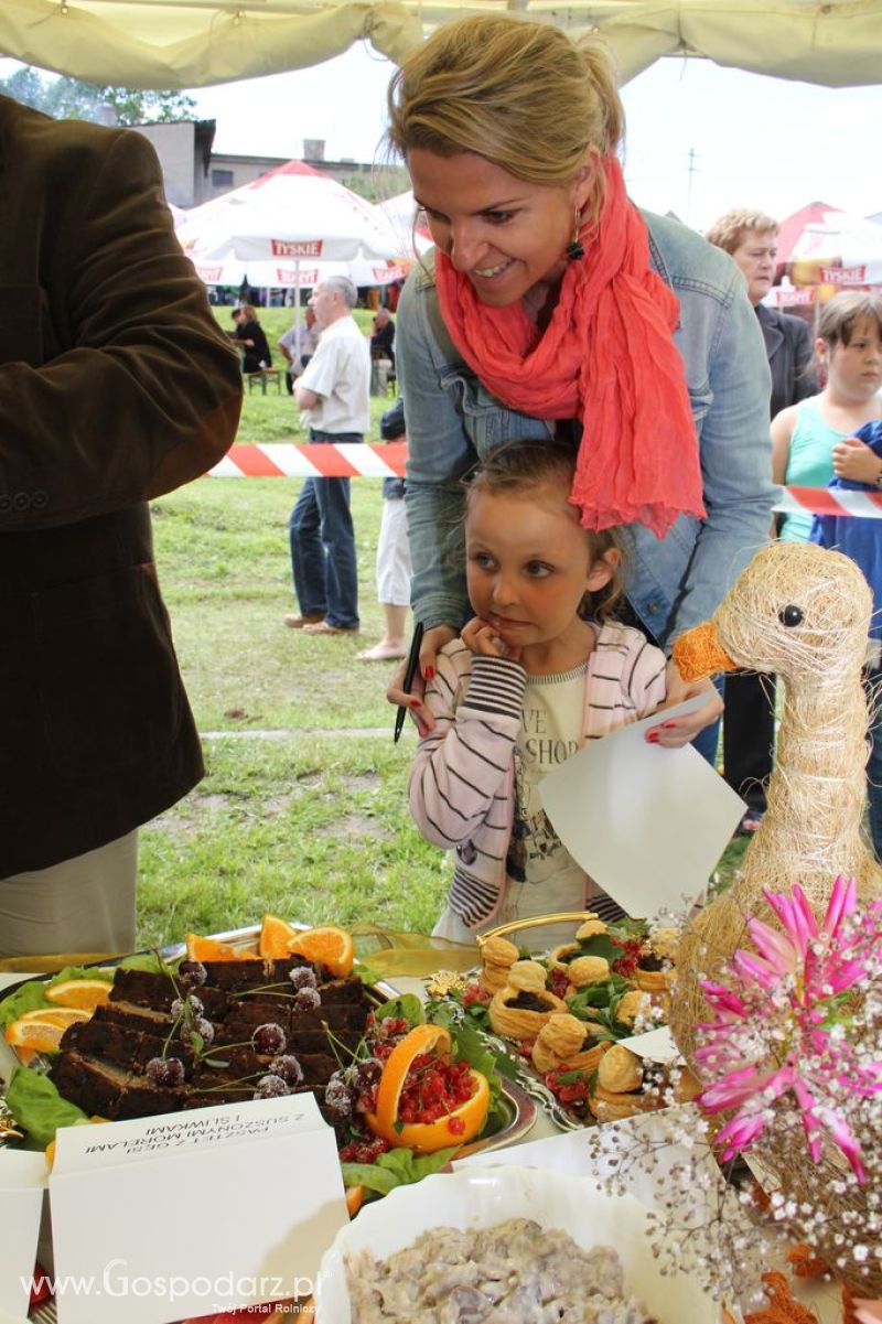 IX Święto Gęsi w Biskupcu
