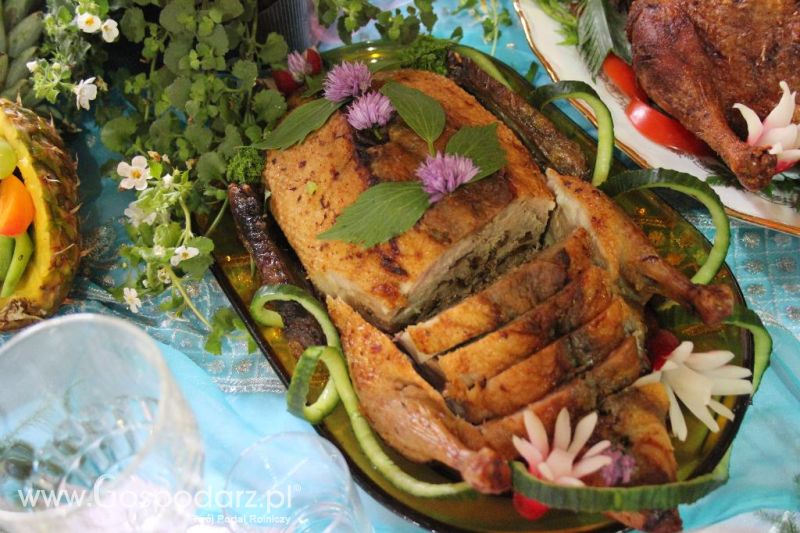 Święto Kaczki w Przygodzicach