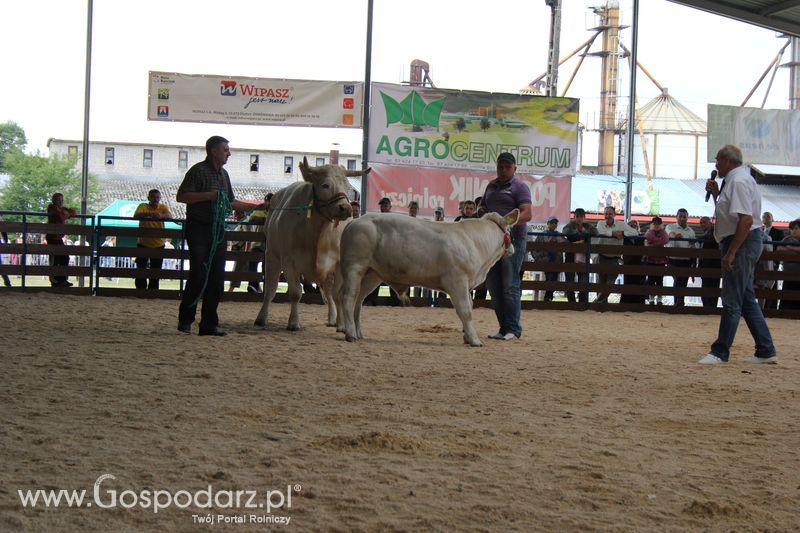 XVIII Regionalna Wystawa Zwierząt Hodowlanych i Dni z Doradztwem Rolniczym w Szepietowie - Sobota