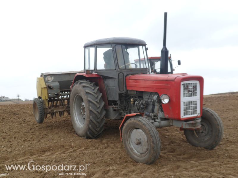 Wiosenne Przesiewki 2012 