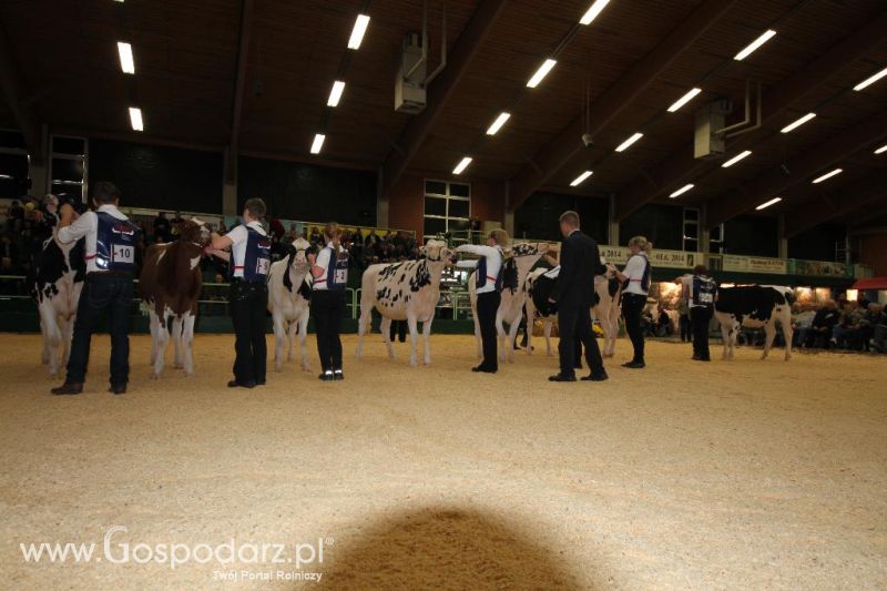 Wystawa  Blickpunkt Rind 2013 w miejscowości Paaren/Glien (Niemcy)
