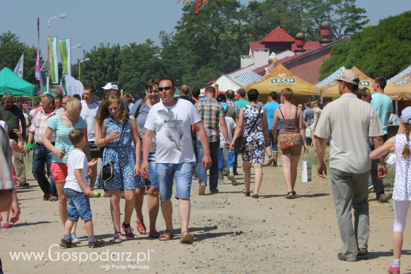 Zielone AGRO SHOW – POLSKIE ZBOŻA 2014 w Sielinku - niedziela