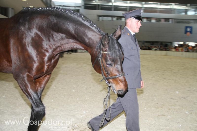 CAVALIADA 2013 w Poznaniu