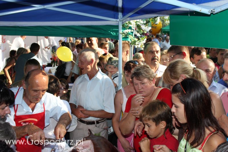 Ogólnopolski Festiwal Wieprzowiny w Łasinie
