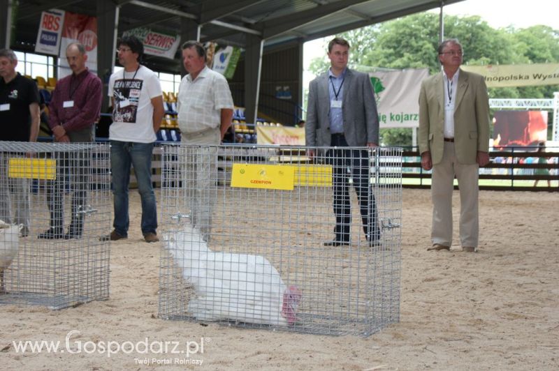 Drób - Szepietowo 2012 XIX Regionalna Wystawa Zwierząt Hodowlanych