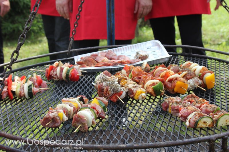 Konkurs kulinarny Grillowane Szaszłyki z Wieprzowiny