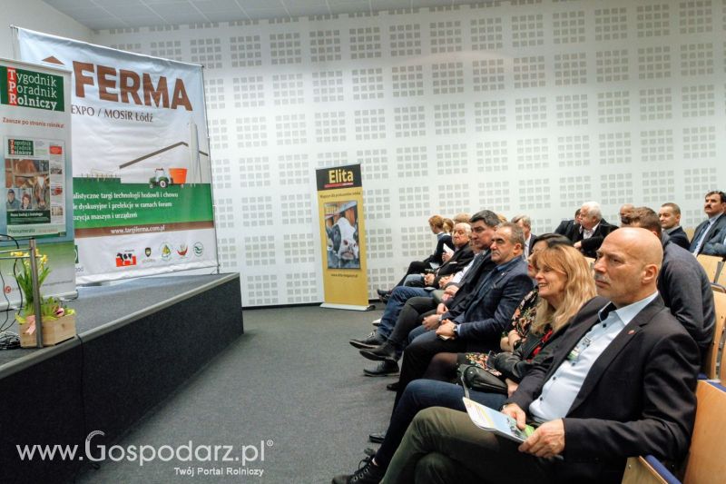 Ferma 2019 dzień 2