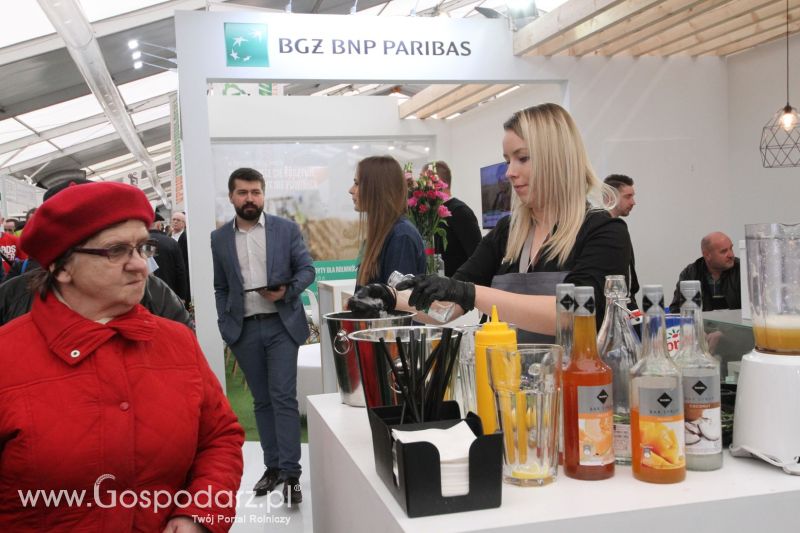 XXV AGROTECH Kielce 2019 dzień 2