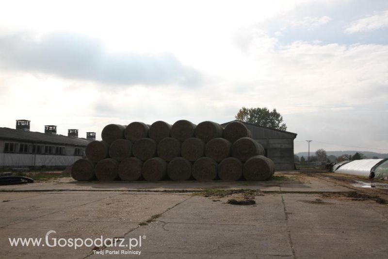 Wyjazd studyjny na farmę Langengrassau w Niemczech