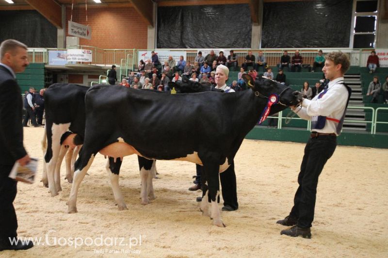 Wystawa  Blickpunkt Rind 2013 w miejscowości Paaren/Glien (Niemcy)