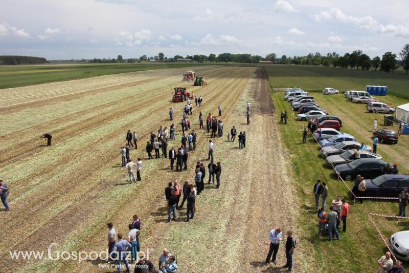 Pokazy polowe Romanów k/Krotoszyna