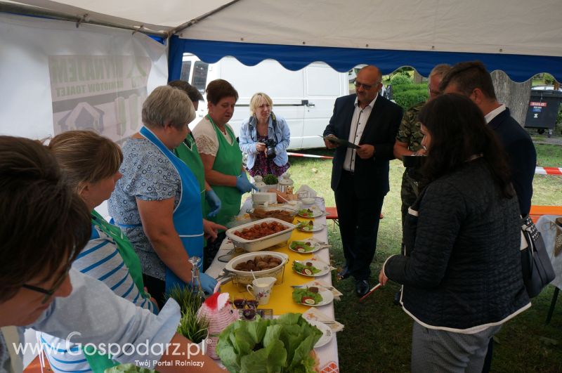 V Ogólnopolski Festiwal Wieprzowiny w Koźminie Wielkopolskim