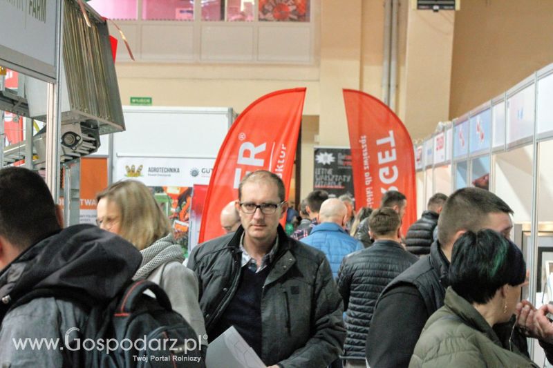 Ferma 2019 dzień 2