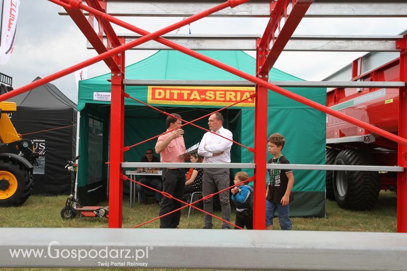 Ditta-Seria na OPOLAGRZE 2016