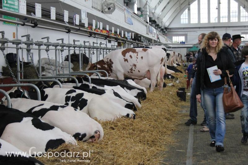 XXVI Krajowa Wystawa Zwierząt Hodowlanych - sobota i niedziela