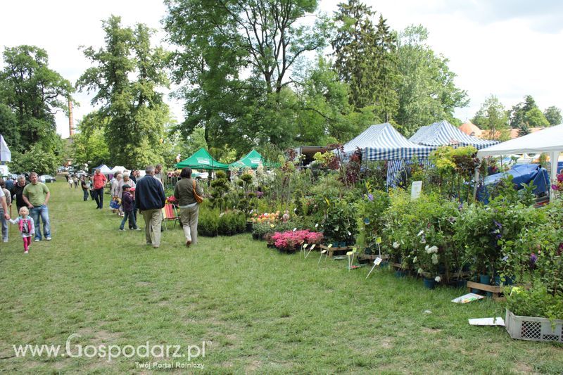 XX Targi Rolnicze Lubniewice 