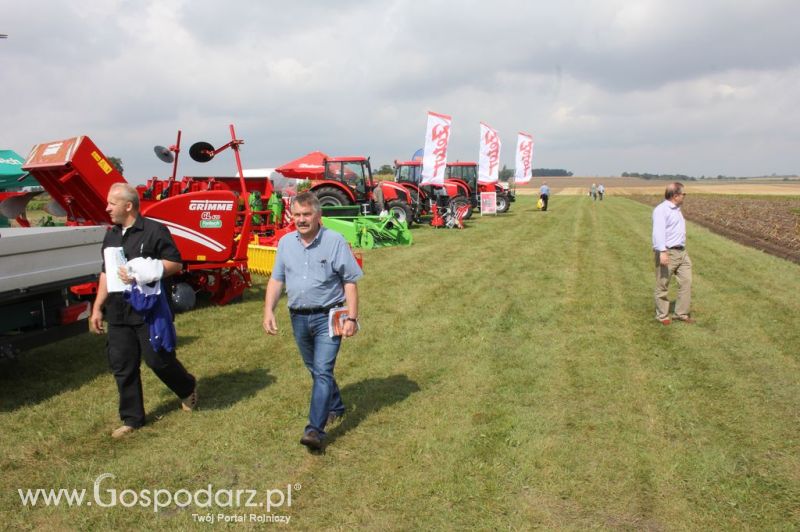 XIX Krajowe Dni Ziemniaka w Marszewie